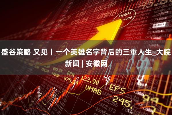 盛谷策略 又见丨一个英雄名字背后的三重人生_大皖新闻 | 安徽网