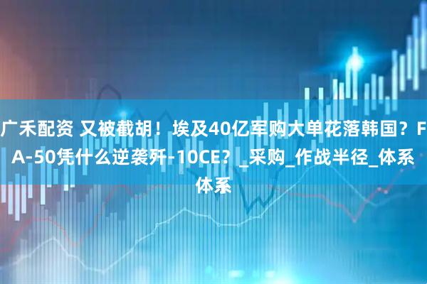 广禾配资 又被截胡！埃及40亿军购大单花落韩国？FA-50凭什么逆袭歼-10CE？_采购_作战半径_体系